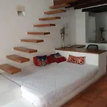 Cozy Apartment Old City