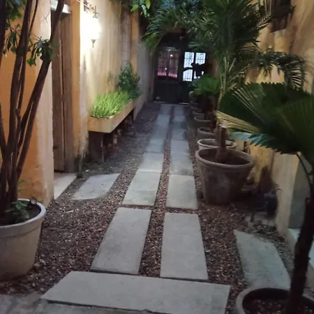Cozy Old Apartment